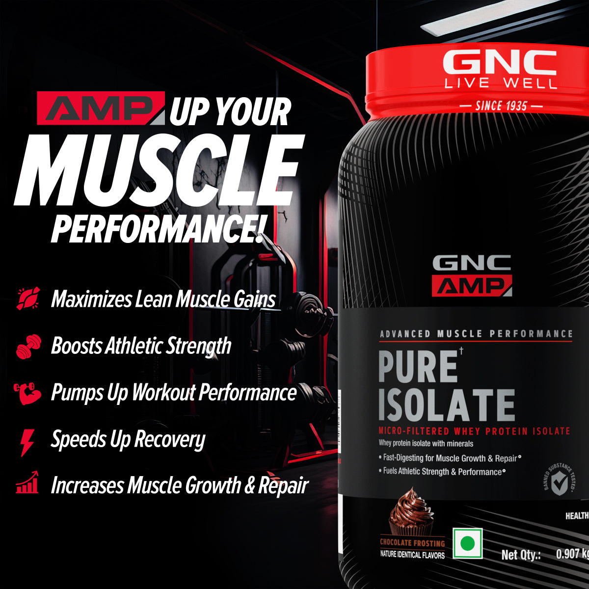 AMP Pure Isolate Whey Protein GNC