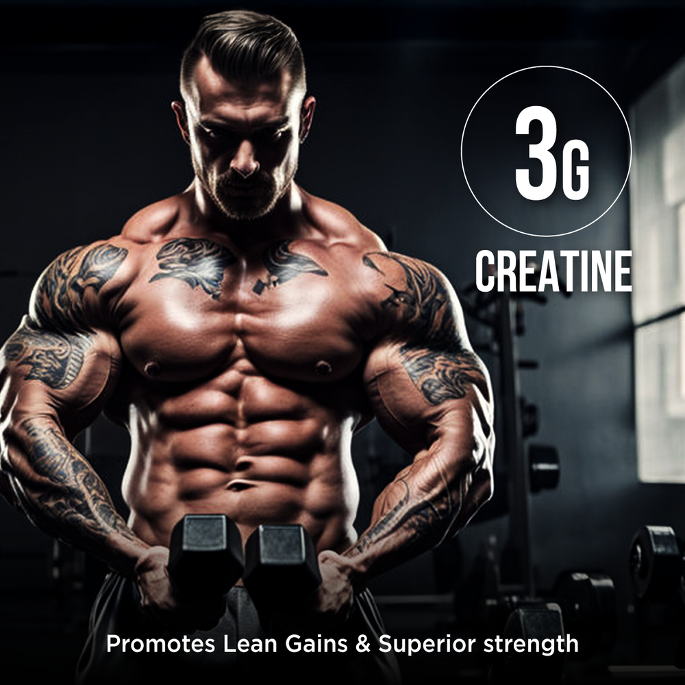 Body Fuel Hardcore Mass Gainer BigMuscles Nutrition